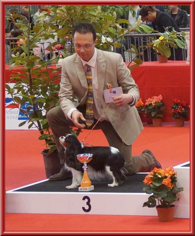 Carham Ciné star - 1ère Excellent - Meilleur Vétéran - 3ème Best Vétéran de l'expo