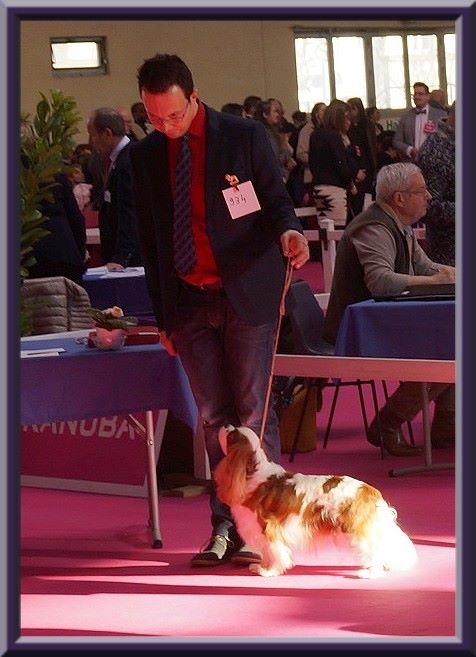 CH. Isadora duncan de Luline - 3ème Excellent