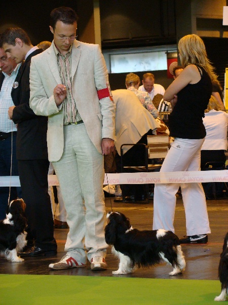 Carham Ciné star - Excellent