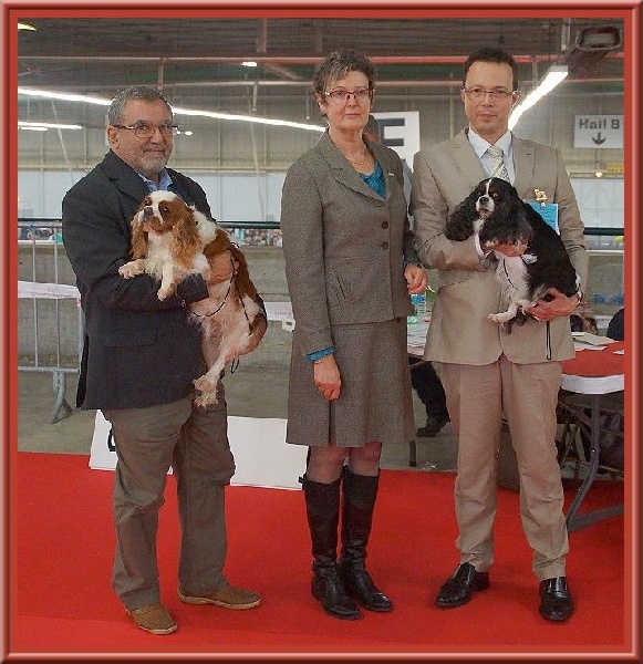 Carham Ciné star - 1ère Excellent - Meilleur Vétéran