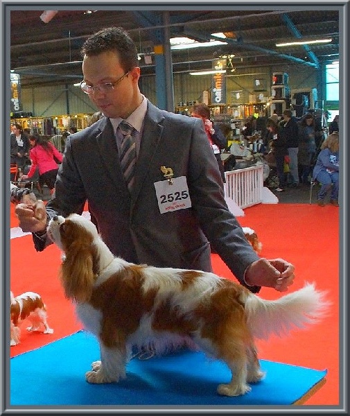 CH. Isadora duncan de Luline - 2ème Excellent -Réserve CACS