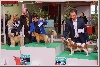 CH. Isadora duncan de Luline - Très Prometteur - Meilleur Puppy - BIS Puppy 3ème