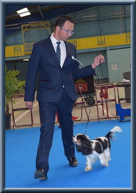 CH. Madame butterfly de Luline - Excellent