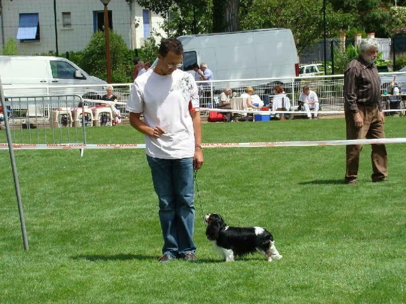 Carham Ciné star - 3ème Excellent