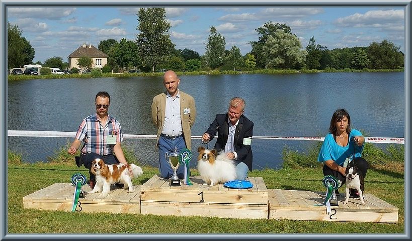 CH. Mayerling de Luline - 1ère Excellent - CACS - Meilleur de Race et 3ème du 9ème Groupe