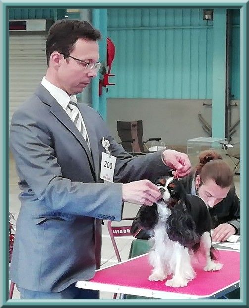 Carham Ciné star - 2ème Excellent