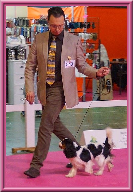 CH. Madame butterfly de Luline - 1ère Excellent - CACS