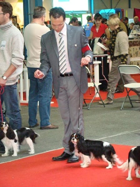 Carham Ciné star - 2 ème Excellent - RCACS (CO)