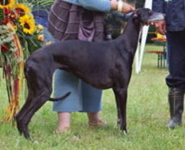 Publication : Ad honores