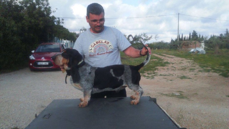 Publication : Les Hortes Du Riberal