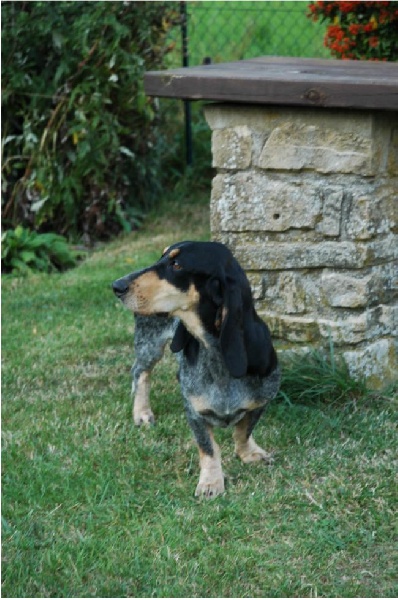 Publication : Les Hortes Du Riberal