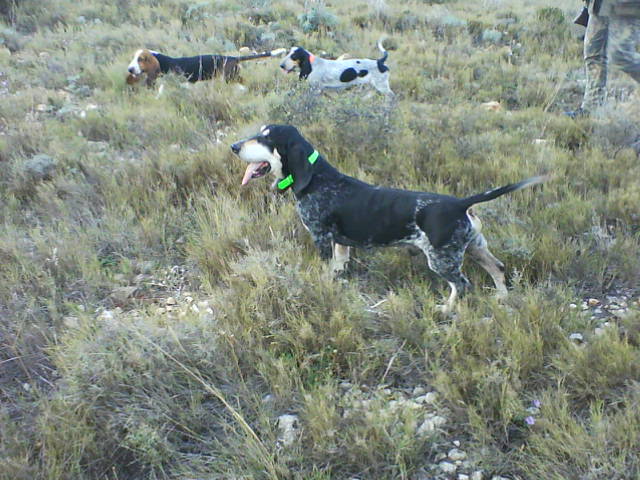 Publication : Les Hortes Du Riberal