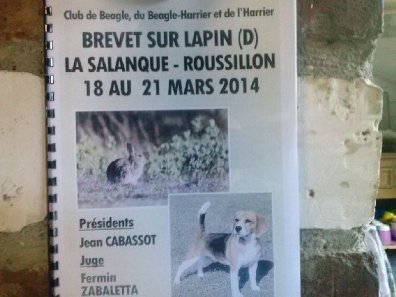 Dolly Les Hortes Du Riberal - 145 pts