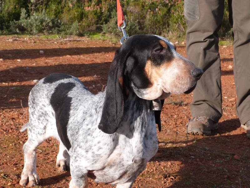 Dolly Les Hortes Du Riberal - 135 pts