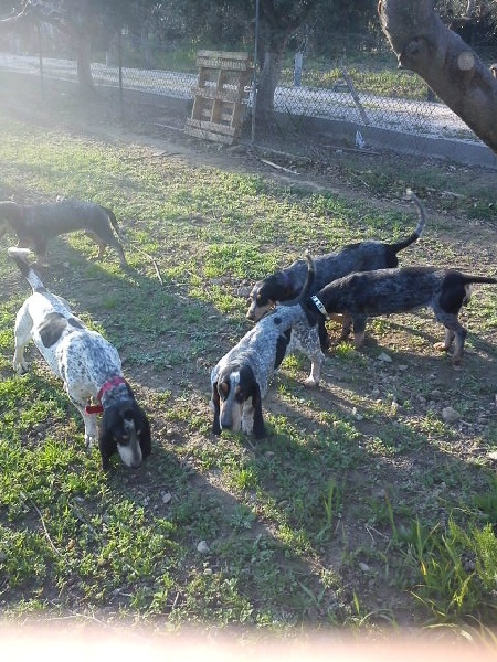 Dolly Les Hortes Du Riberal - 130 pts 1er