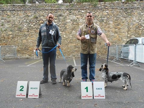 Dolly Les Hortes Du Riberal - cacs meilleur de race