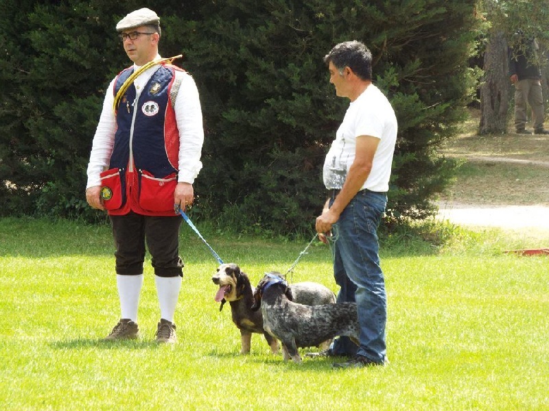 Diva du Bois de Doly - meilleur lot d elevage