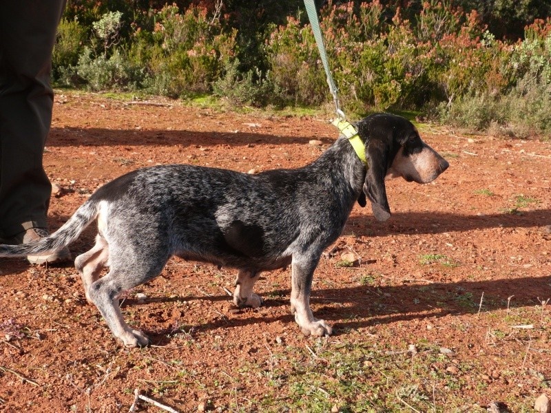 Diva du Bois de Doly - 125