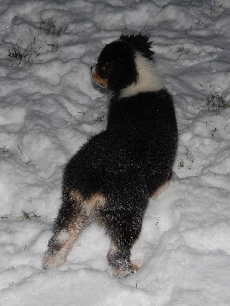 Publication : du Chemin de la Lune aux Reves Auteur : Christelle