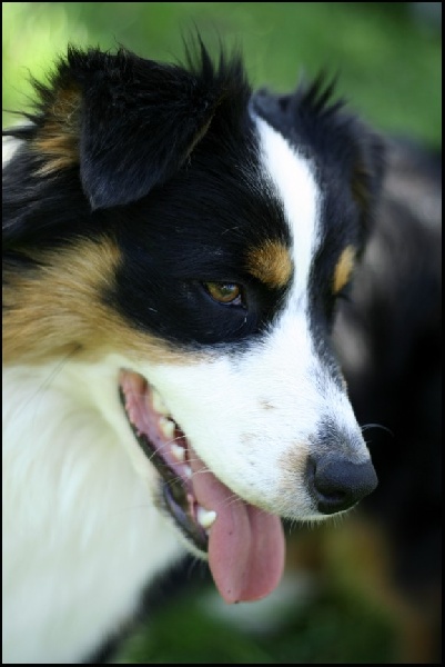 Publication : du Chemin de la Lune aux Reves Auteur : Christelle