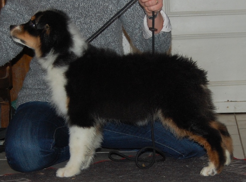 Publication : du Chemin de la Lune aux Reves Auteur : Christelle