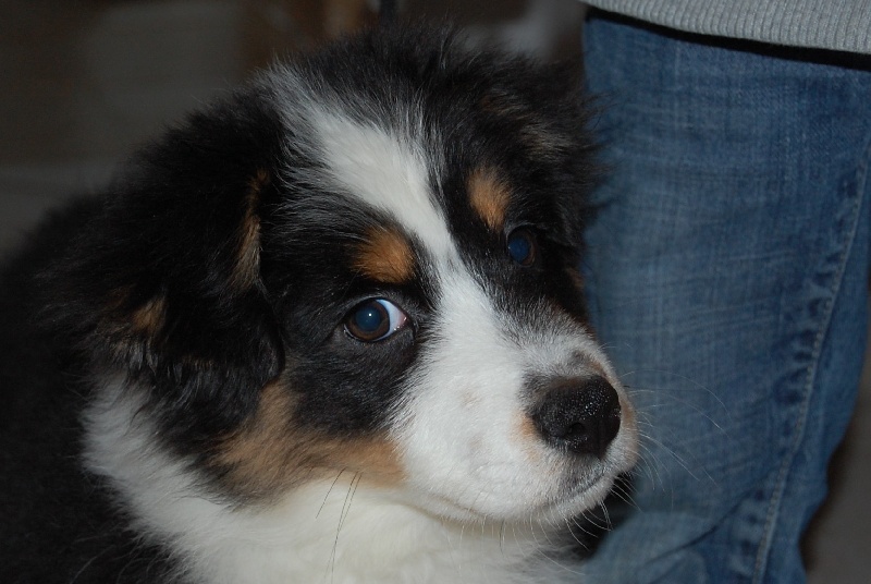 Publication : du Chemin de la Lune aux Reves Auteur : Christelle