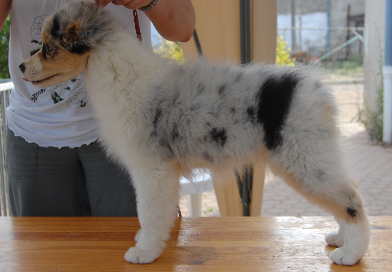 Gallant little girl dite glory de la Contrée d'Elmera