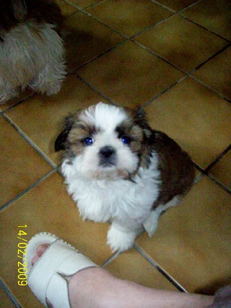 Publication : du Domaine de Berthoult