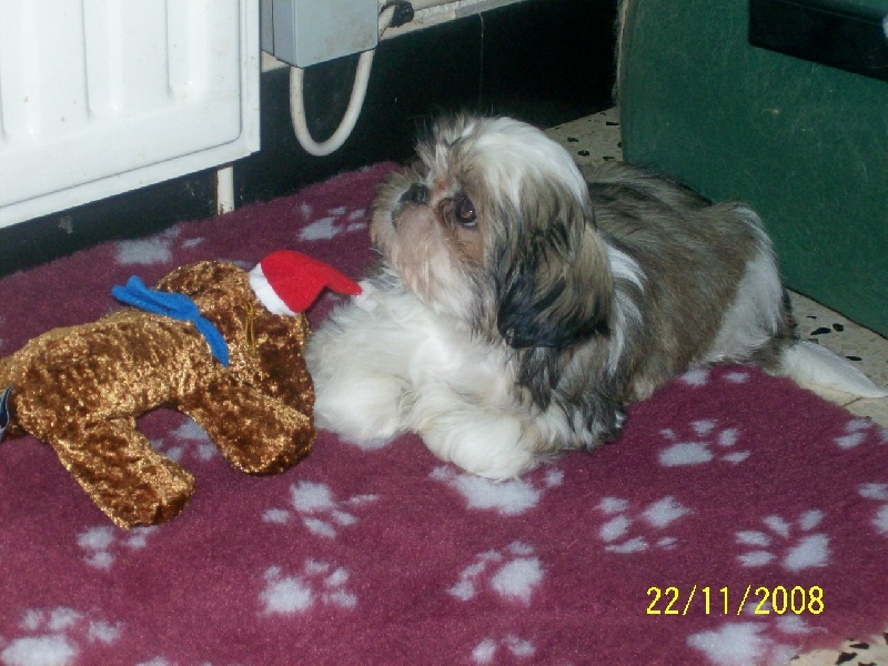 Publication : du Domaine de Berthoult Auteur : Le Domaine de Berthoult