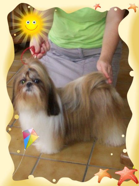 Publication : du Domaine de Berthoult