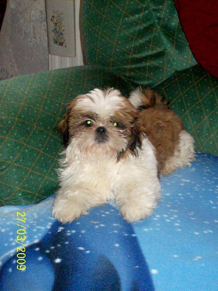 Publication : du Domaine de Berthoult