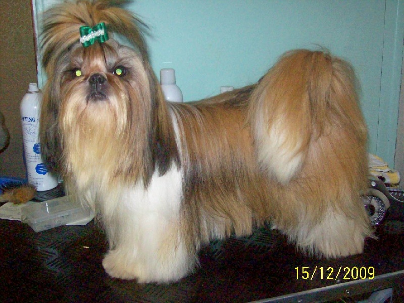 Publication : du Domaine de Berthoult