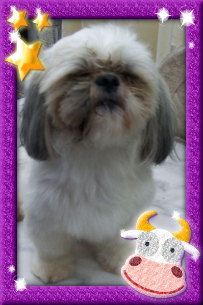 Publication : du Domaine de Berthoult Auteur : Le Domaine de Berthoult