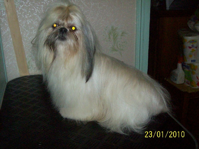 Publication : du Domaine de Berthoult Auteur : Le Domaine de Berthoult