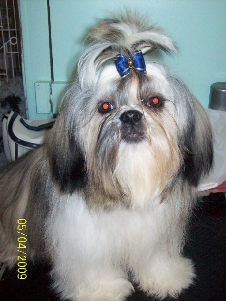 Publication : du Domaine de Berthoult Auteur : Le Domaine de Berthoult