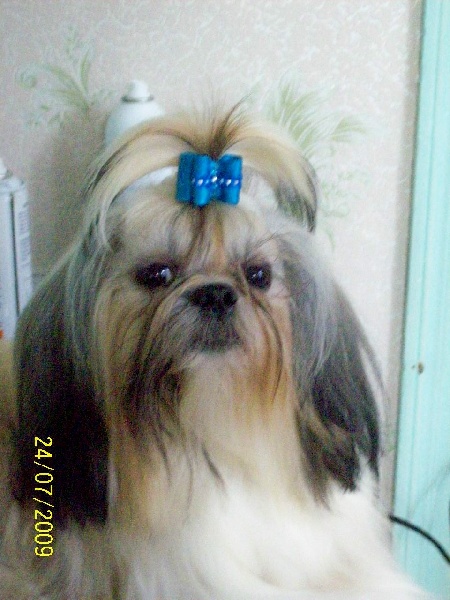 Publication : du Domaine de Berthoult Auteur : Le Domaine de Berthoult