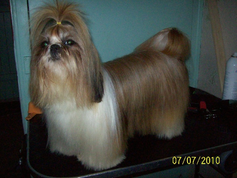 Publication : du Domaine de Berthoult