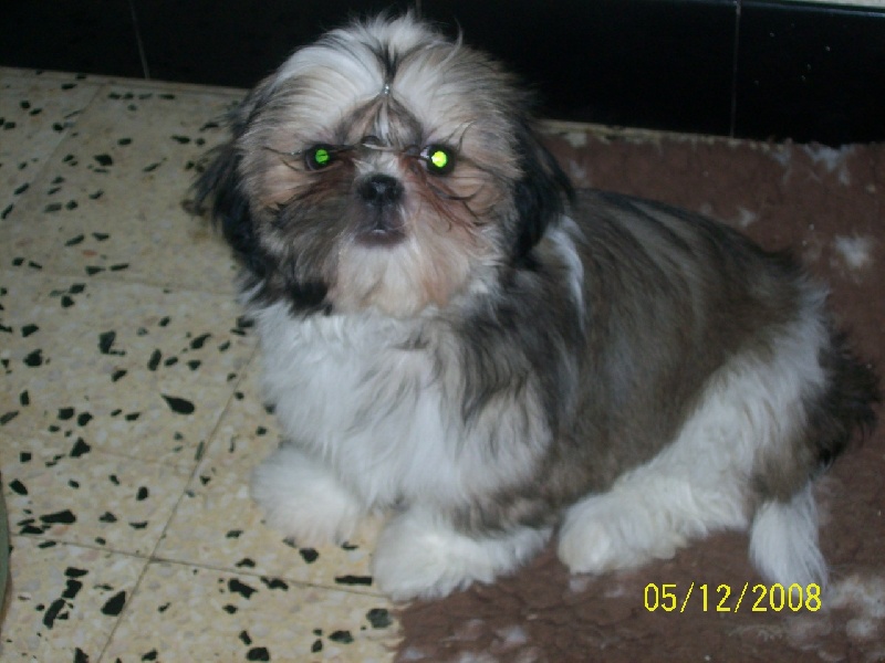 Publication : du Domaine de Berthoult Auteur : Le Domaine de Berthoult