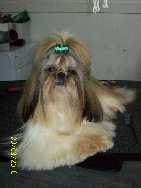 Publication : du Domaine de Berthoult