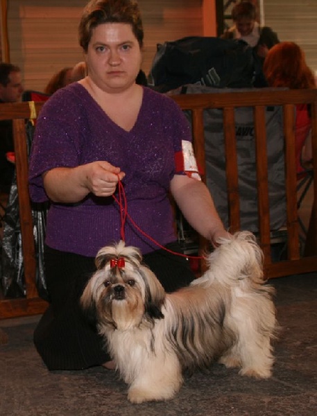 Diamant du Chevalier de la Toison D'Or - TRES PROMETTEUR