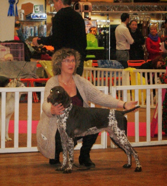 Heline Du chateau d'avesnes - 2 eme exc