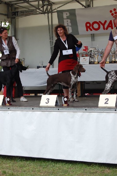 Heline Du chateau d'avesnes - 3 EXCELLENT