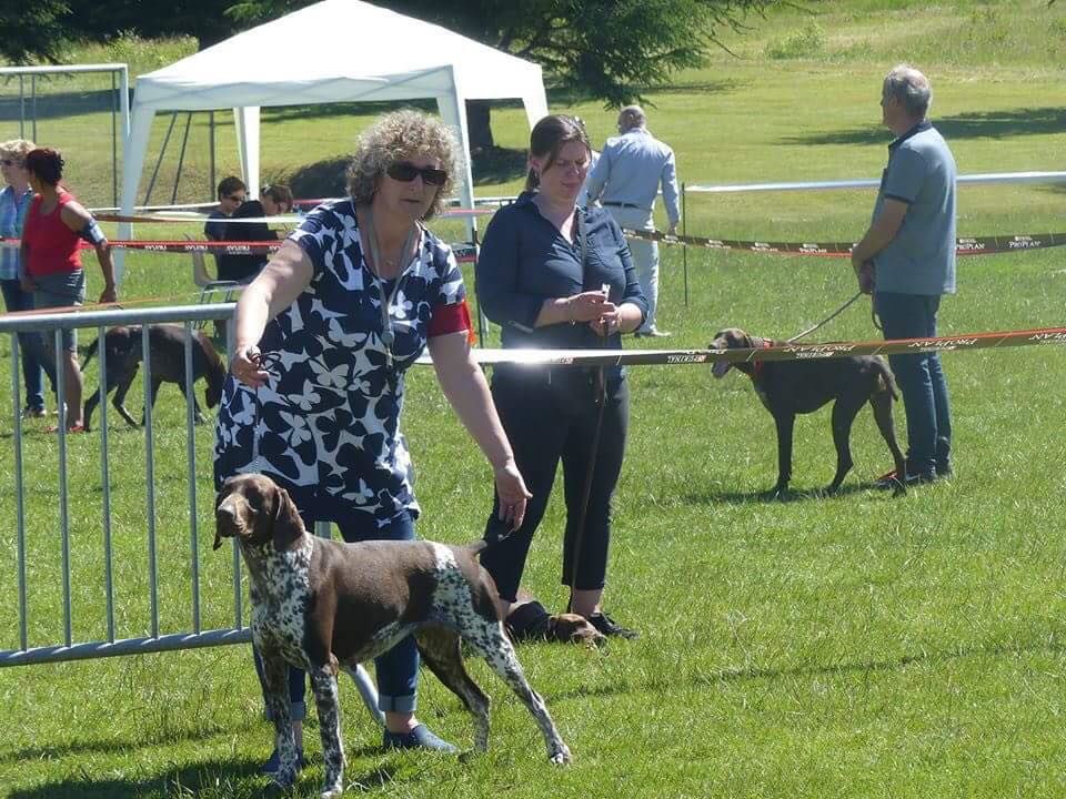 Heline Du chateau d'avesnes - 2 EXC CLASSEOUVERTE /