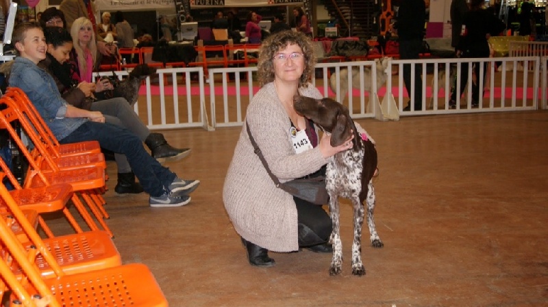 Heline Du chateau d'avesnes - 1 er exc RCACS RCACIB