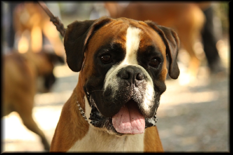 Publication : Mavikaflo's Auteur : José Robert