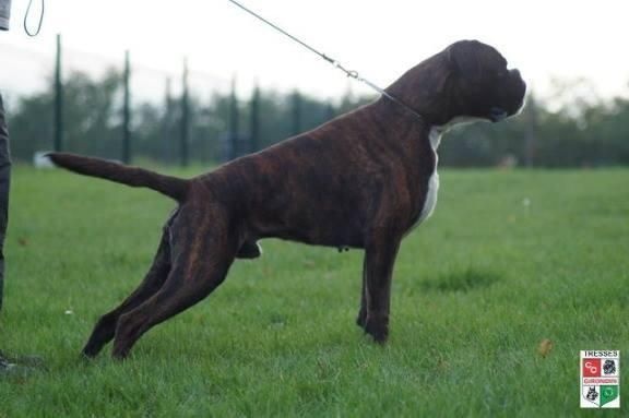 Publication : Mavikaflo's Auteur : Philippe JEAN