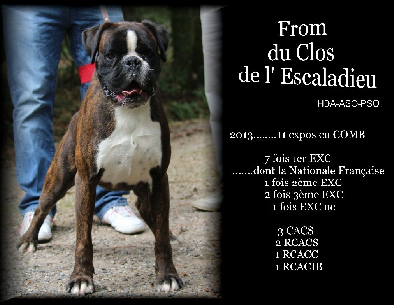 Publication : Mavikaflo's Auteur : Philippe JEAN