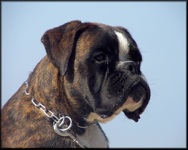 Publication : Mavikaflo's Auteur : Philippe JEAN