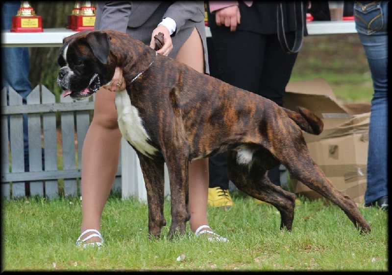 Publication : Mavikaflo's Auteur : Philippe JEAN