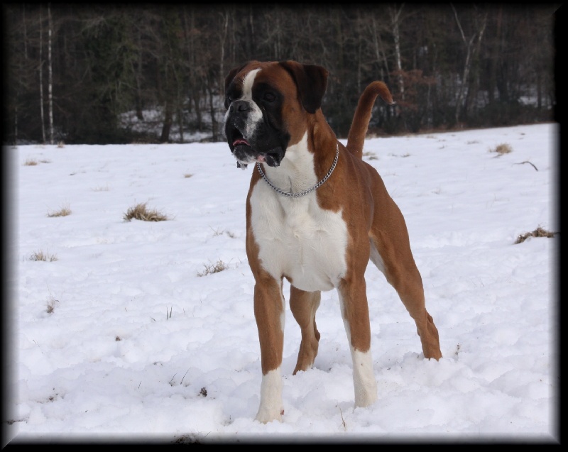 Publication : Mavikaflo's Auteur : José Robert